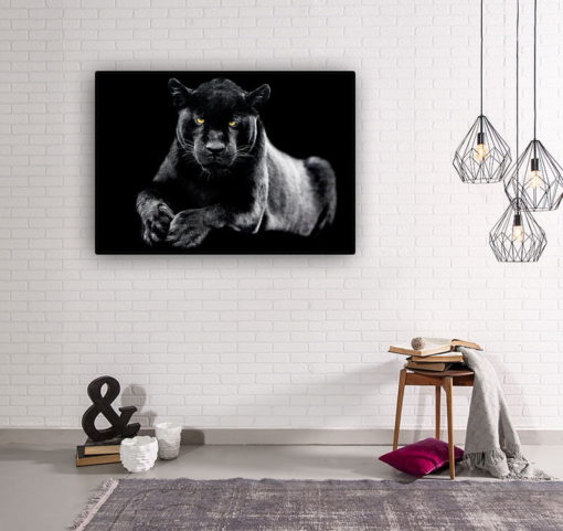 Black Panter - Bild 2