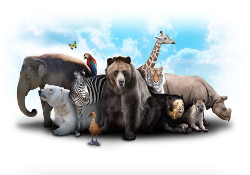 ZOO Kompisar - Bild 3