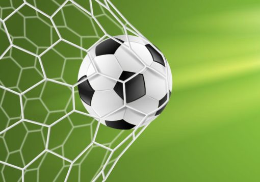 Fotboll i nät - Bild 3