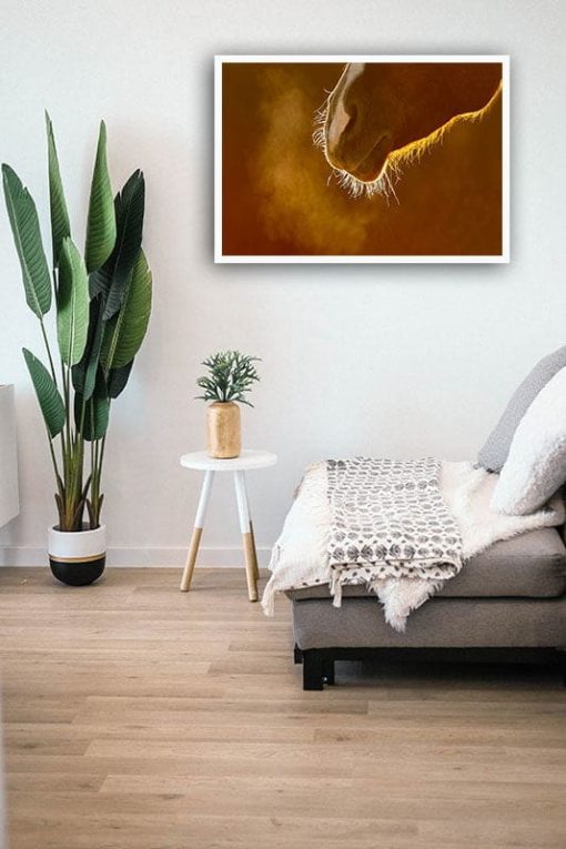 Hästmula - Bild 2
