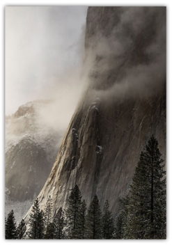 Poster Natur skog och berg