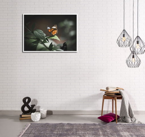 Poster Butterfly - Bild 2
