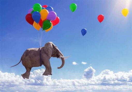 Ballong Elefant - Bild 3