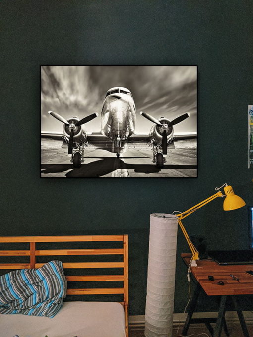 Vintage Airplane (fynd) - Bild 2