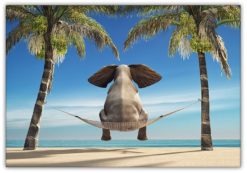 Elefant på hängmatta