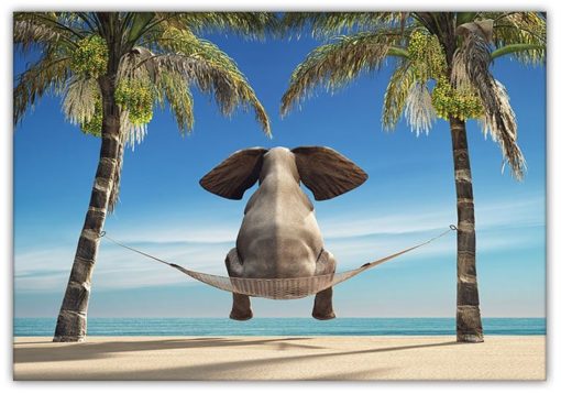 Elefant på hängmatta