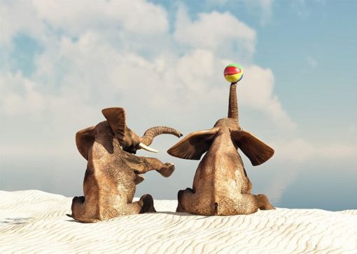 Elefanter på stranden - Bild 2