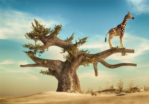 Giraff i trädet - Bild 3