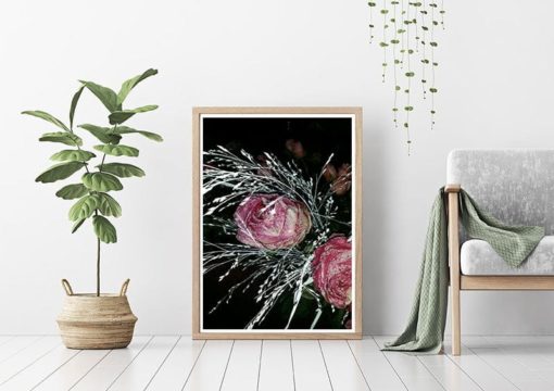 Frozen Roses - Bild 2