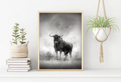 BUFFALO poster (Lager)