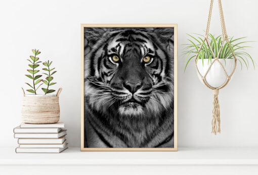TIGER poster (Lager)