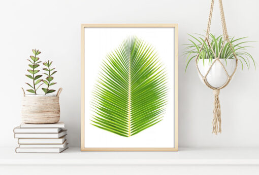 PALMBLAD poster (Lager)