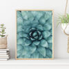 AGAVE BLAD poster (Lager)