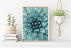 AGAVE BLAD poster (Lager)