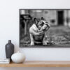 BULLDOG poster (Lager)