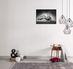 Posters lagerförsäljning från Poster Garaget