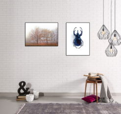 Posters lagerförsäljning från Poster Garaget