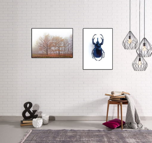Posters lagerförsäljning från Poster Garaget