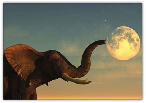 Elefant med snabel mot Månen