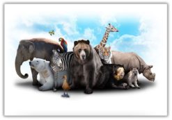 ZOO Kompisar