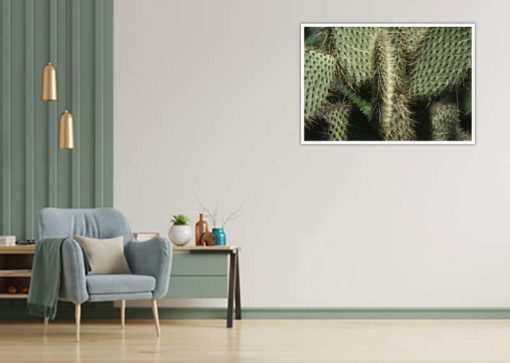 Kaktus blad och taggar - Bild 2