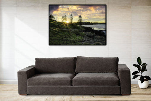 Solnedgång genom träden - Bild 2