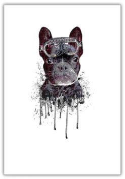 HUND MED GOGGLES poster (Lager)