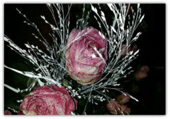 Frozen Roses