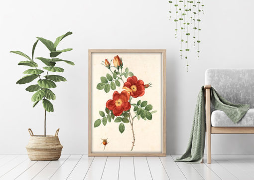 Poster Blommotiv fynd (kopia) - Bild 2
