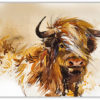 Highland Cattle Illustration