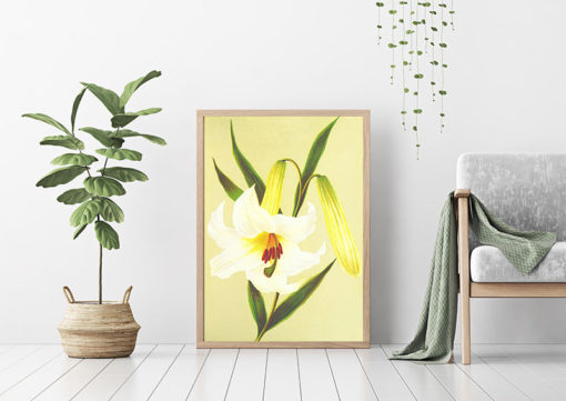 Poster Blommotiv - Bild 2