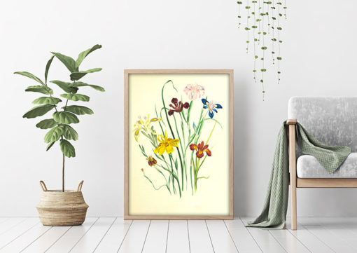 Poster Blommotiv - Bild 2