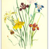 Poster Blommotiv
