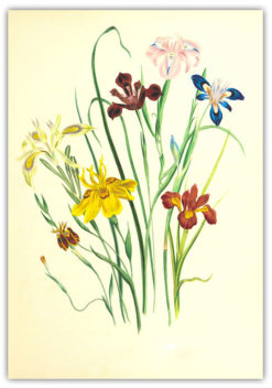 Poster Blommotiv