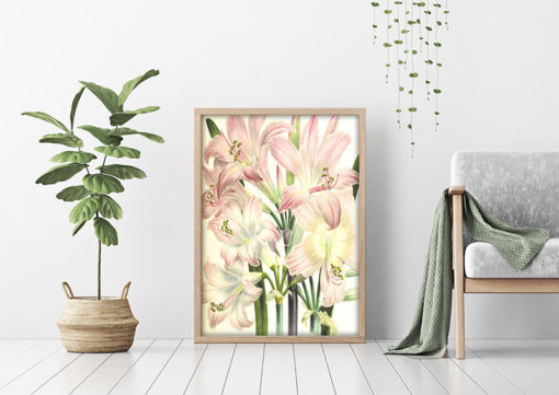 Poster Blommotiv - Bild 2