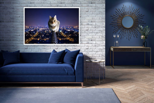 The Cat - Bild 3