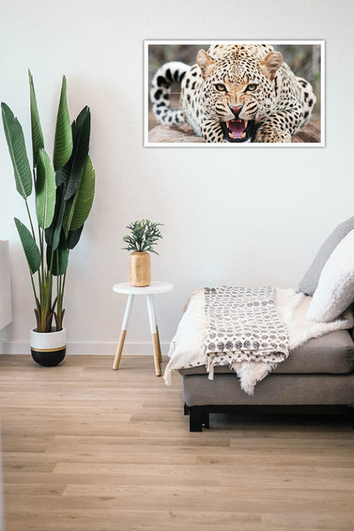 Leopard Poster - Bild 2