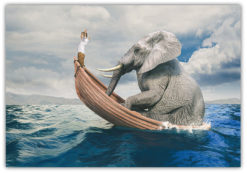Pojke och Elefant på båt