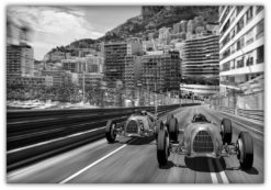 Vintage Racing Nr: 2