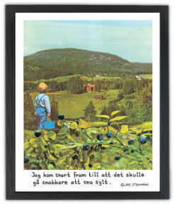 Jan Stenmark poster