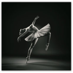 Poster Ballerina pos