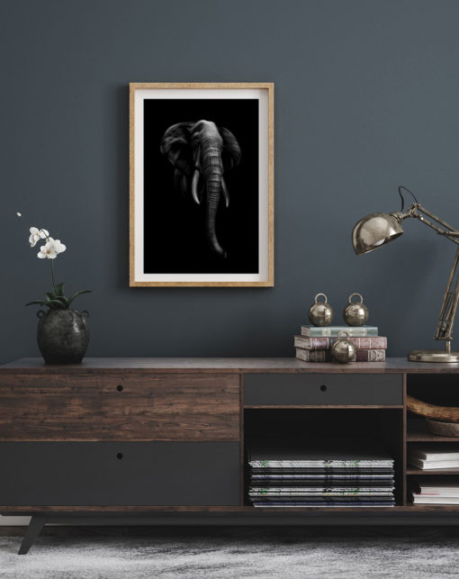 Elefant i mörker - Bild 3