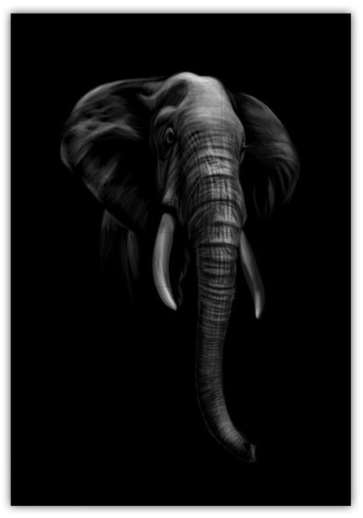 Elefant i mörker