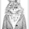 Poster Katt med kläder