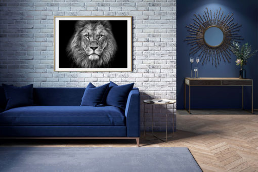 Poster The King - Bild 3