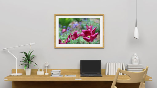 Flowers - Bild 3