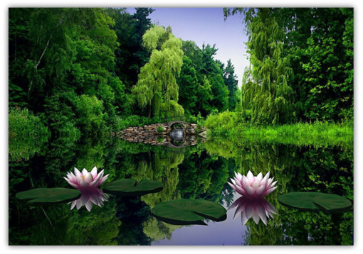 Fantasi natur motiv nr:1