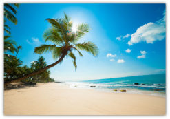 Tropical beach Poster