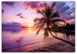 Solnedgång Tropical beach Poster