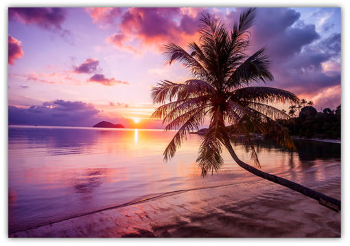 Solnedgång Tropical beach Poster